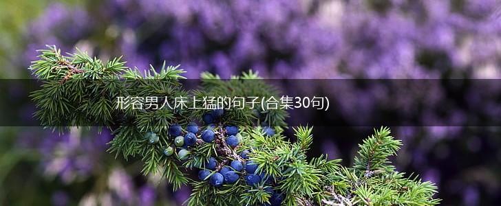 形容男人床上猛的句子(合集30句),第1张