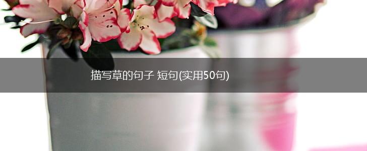 描写草的句子 短句(实用50句),第1张