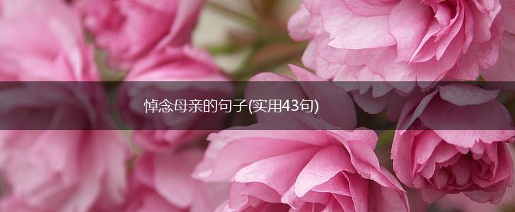 悼念母亲的句子(实用43句),第1张