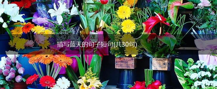 描写蓝天的句子短句(共30句),第1张