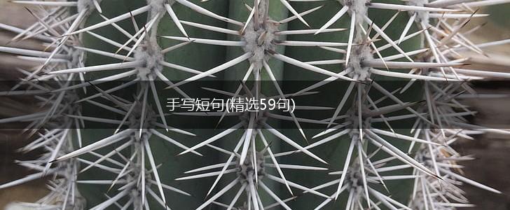 手写短句(精选59句),第1张