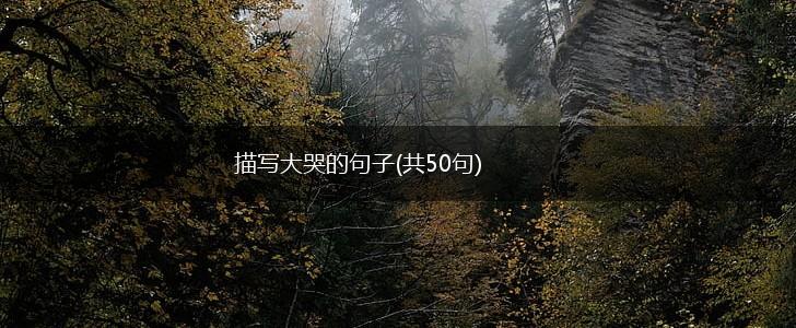 描写大哭的句子(共50句),第1张