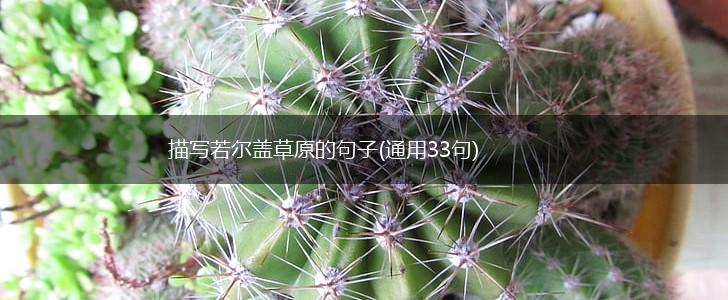 描写若尔盖草原的句子(通用33句),第1张
