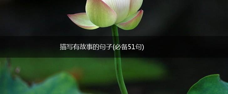 描写有故事的句子(必备51句),第1张 描写有故事的句子(必备51句),第1张