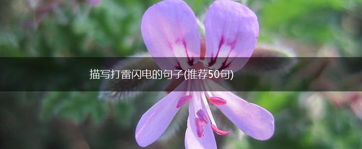 描写打雷闪电的句子(推荐50句),第1张