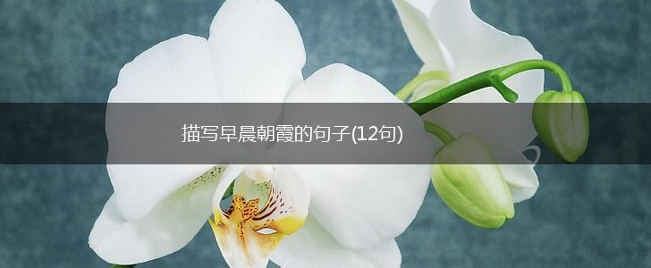 描写早晨朝霞的句子(12句),第1张 描写早晨朝霞的句子(12句),第1张