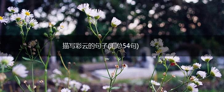 描写彩云的句子(汇总54句),第1张