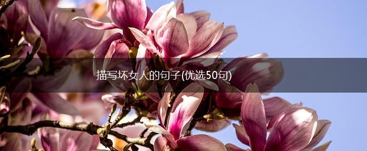 描写坏女人的句子(优选50句),第1张