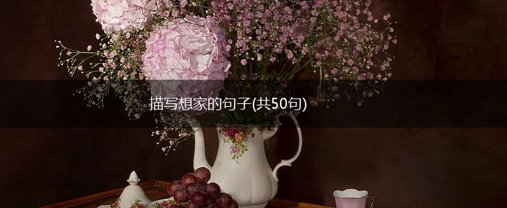 描写想家的句子(共50句),第1张