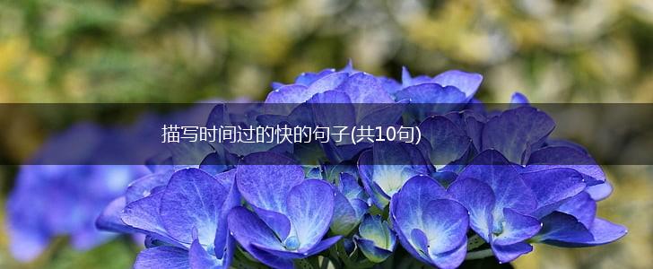 描写时间过的快的句子(共10句),第1张