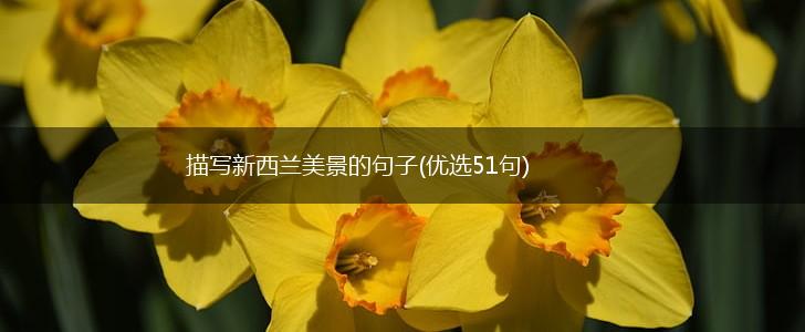描写新西兰美景的句子(优选51句),第1张