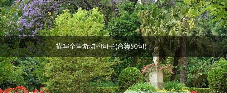描写金鱼游动的句子(合集50句),第1张