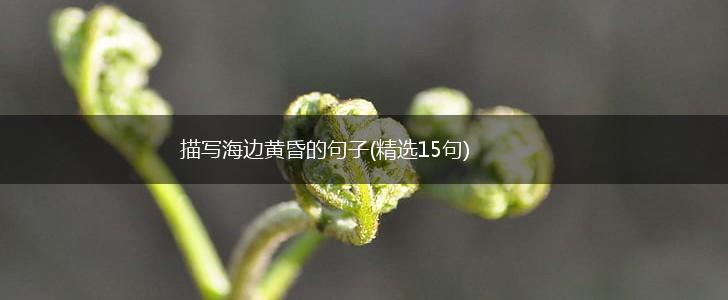 描写海边黄昏的句子(精选15句),第1张