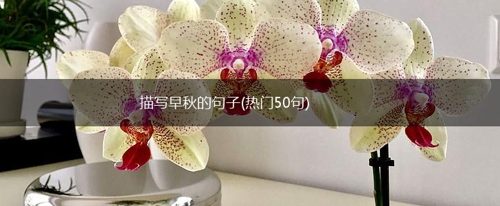 描写早秋的句子(热门50句),第1张