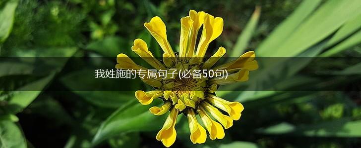 我姓施的专属句子(必备50句),第1张