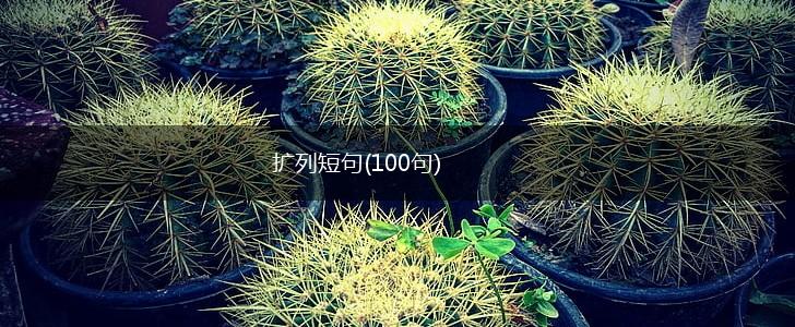 扩列短句(100句),第1张