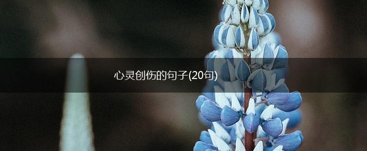 心灵创伤的句子(20句),第1张 心灵创伤的句子(20句),第1张