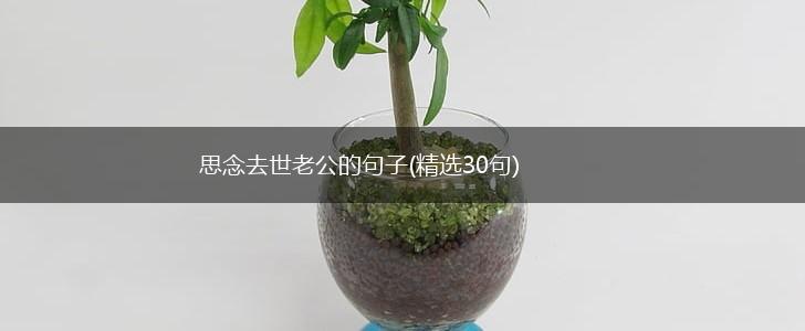 思念去世老公的句子(精选30句),第1张