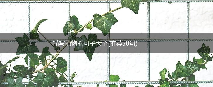 描写植物的句子大全(推荐50句),第1张