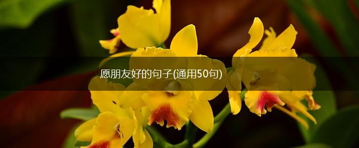 愿朋友好的句子(通用50句),第1张