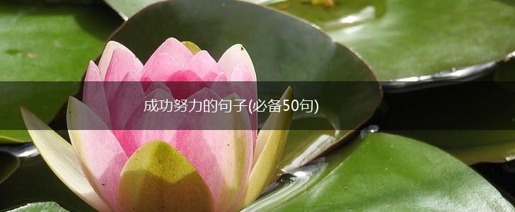 成功努力的句子(必备50句),第1张