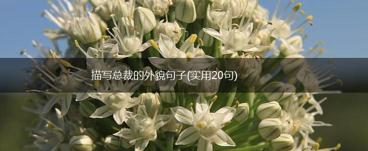 描写总裁的外貌句子(实用20句),第1张
