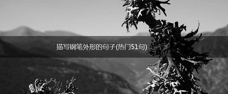 描写钢笔外形的句子(热门51句),第1张