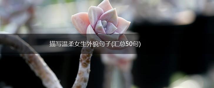 描写温柔女生外貌句子(汇总50句),第1张