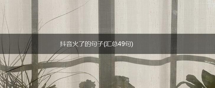 抖音火了的句子(汇总49句),第1张