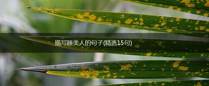 描写睡美人的句子(精选15句),第1张