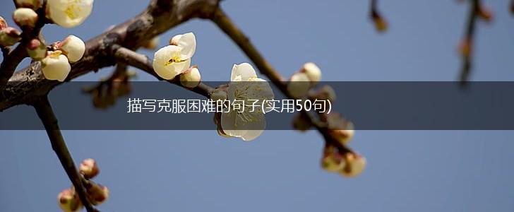 描写克服困难的句子(实用50句),第1张