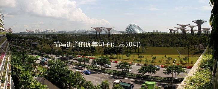 描写街道的优美句子(汇总50句),第1张