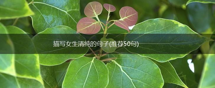 描写女生清纯的句子(推荐50句),第1张