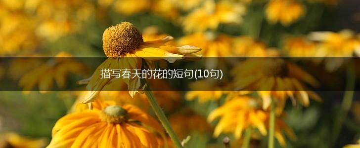 描写春天的花的短句(10句),第1张