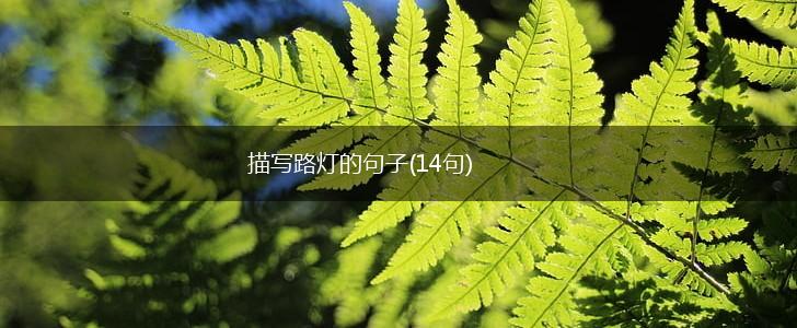 描写路灯的句子(14句),第1张