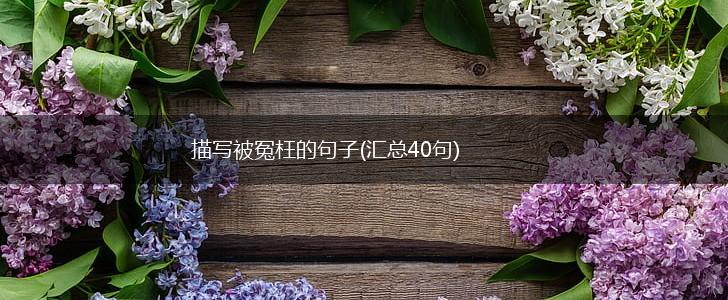 描写被冤枉的句子(汇总40句),第1张