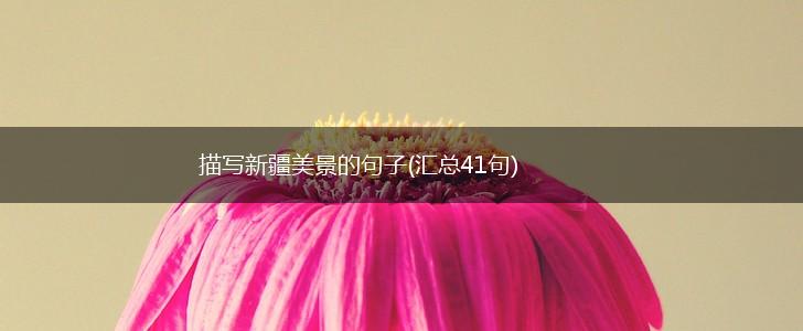 描写新疆美景的句子(汇总41句),第1张