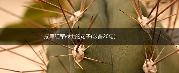 描写红军战士的句子(必备20句),第1张