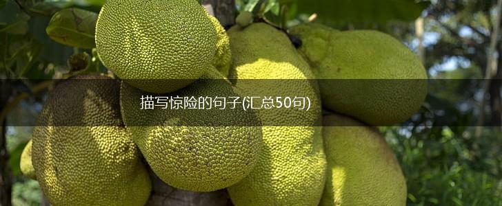 描写惊险的句子(汇总50句),第1张