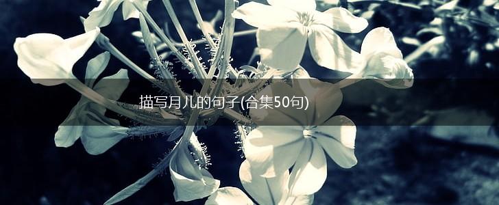 描写月儿的句子(合集50句),第1张