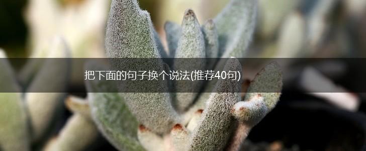 把下面的句子换个说法(推荐40句),第1张