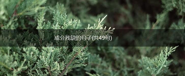 成分残缺的句子(共49句),第1张