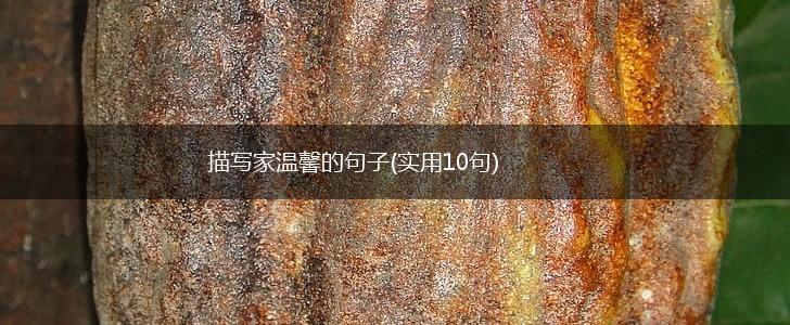 描写家温馨的句子(实用10句),第1张