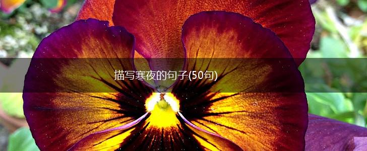 描写寒夜的句子(50句),第1张