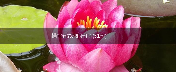 描写五彩池的句子(51句),第1张
