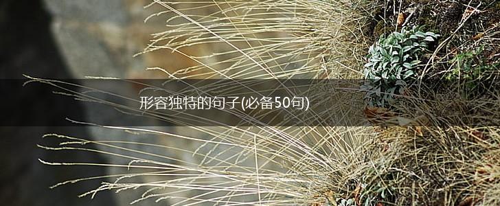 形容独特的句子(必备50句),第1张