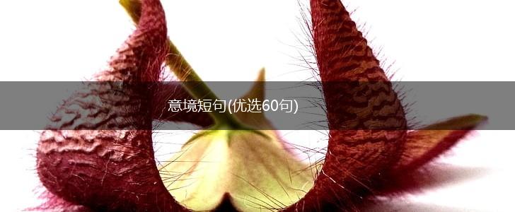 意境短句(优选60句),第1张