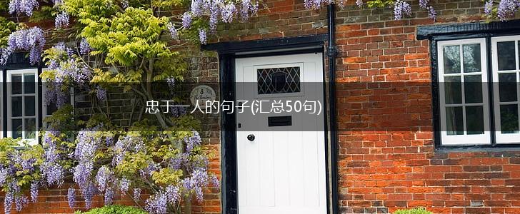 忠于一人的句子(汇总50句),第1张