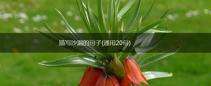 描写沙漏的句子(通用20句),第1张