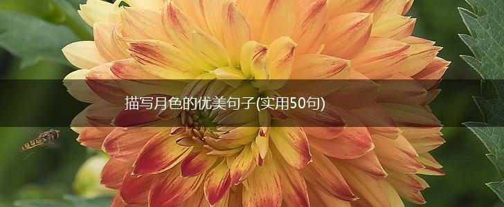 描写月色的优美句子(实用50句),第1张